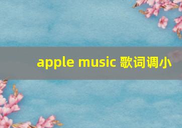 apple music 歌词调小